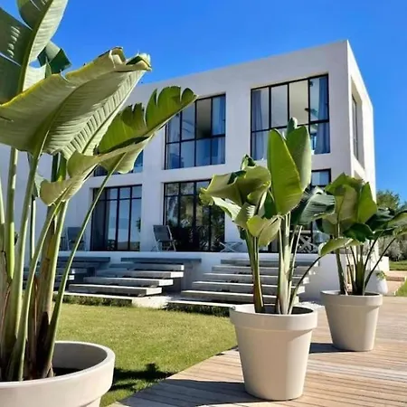 Yuca * BALEARIC ISLANDS